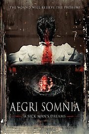 Aegri Somnia poster